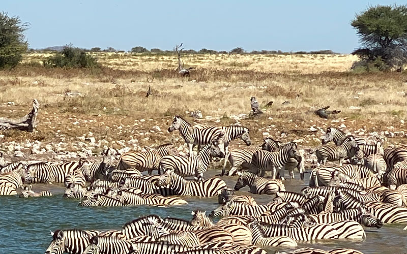 Namibia IMG 1688 k