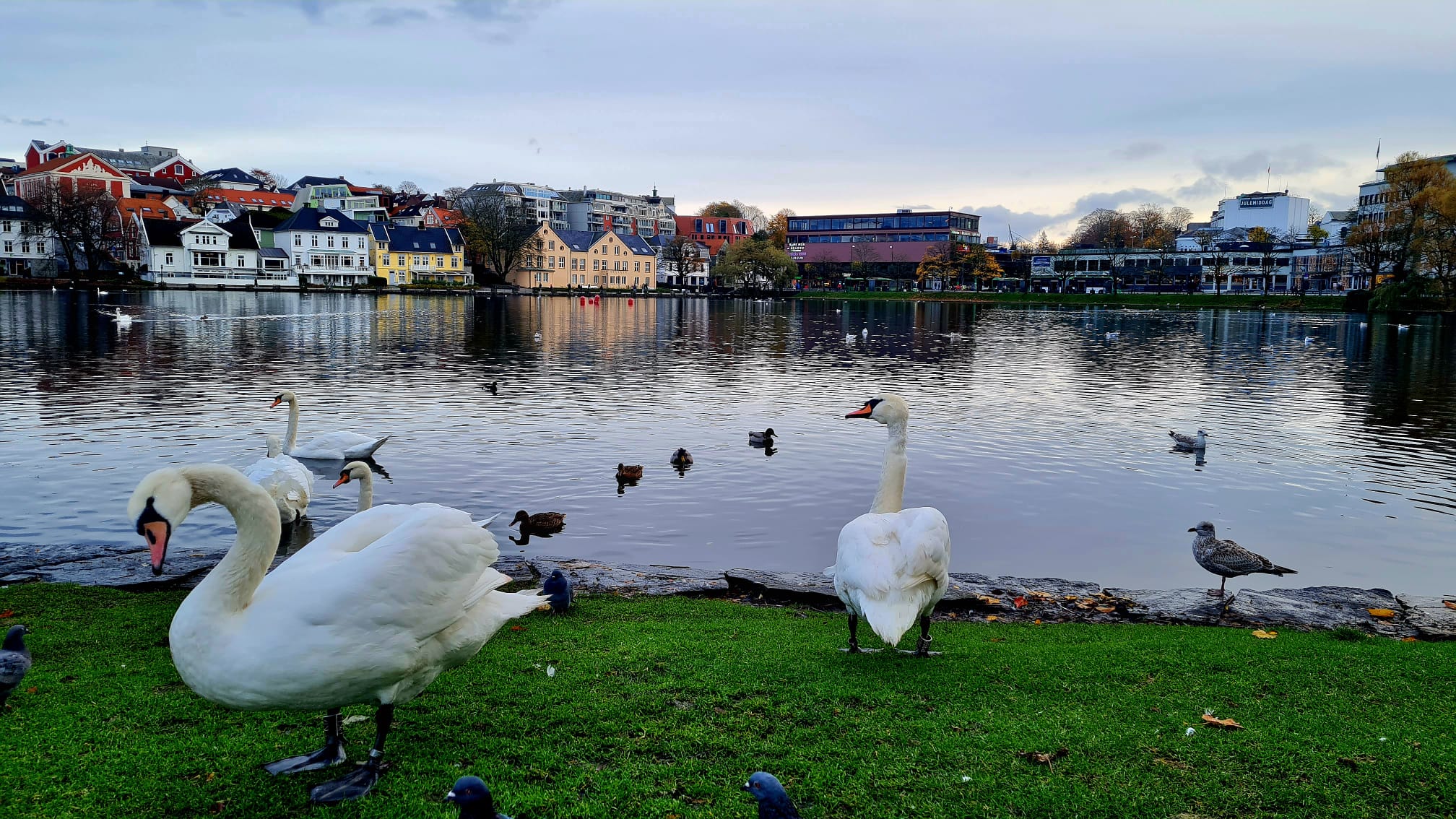 aidanova norwegen 27