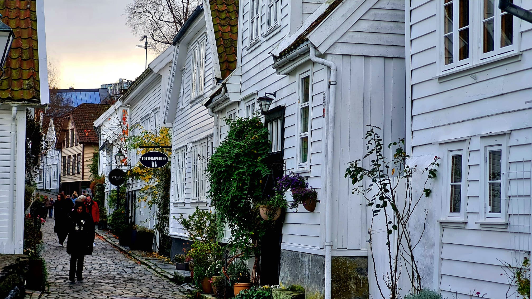 aidanova norwegen 28