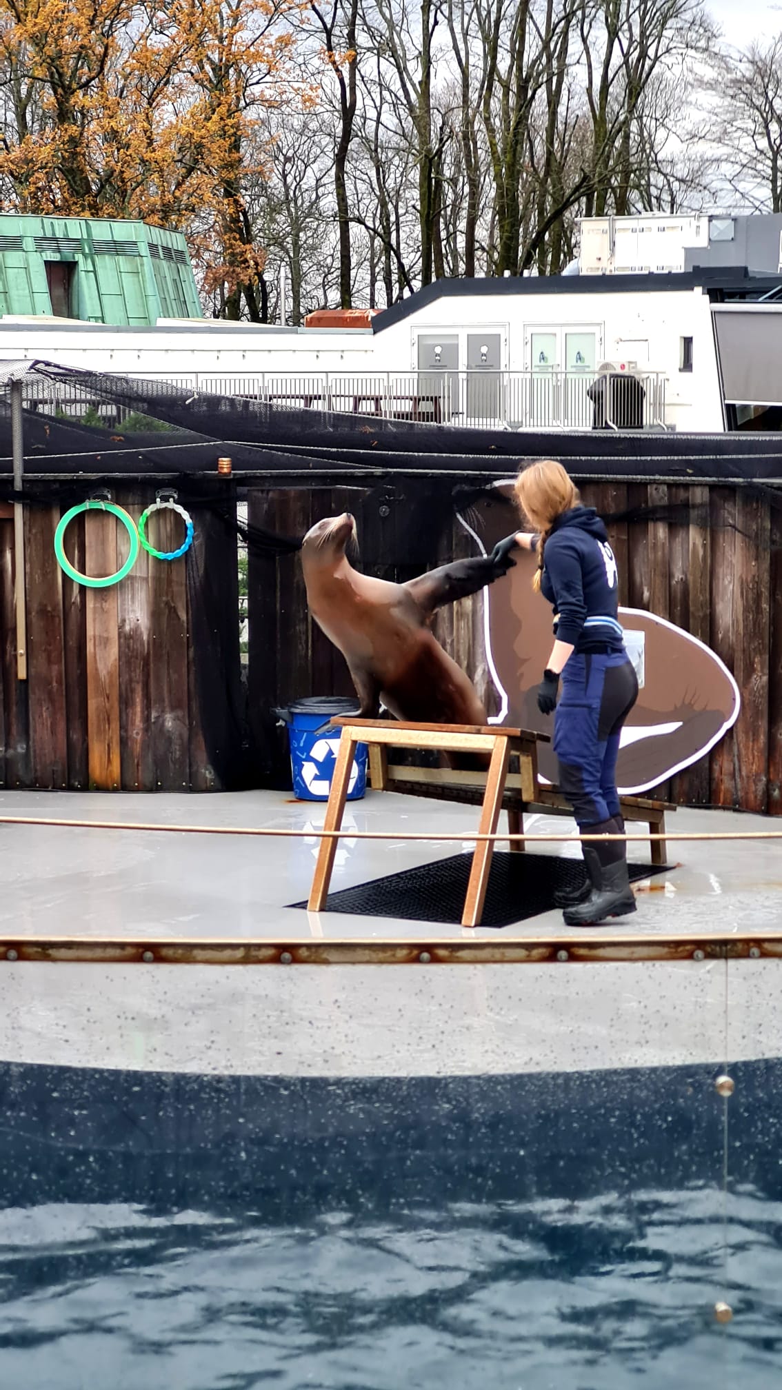 aidanova norwegen 30