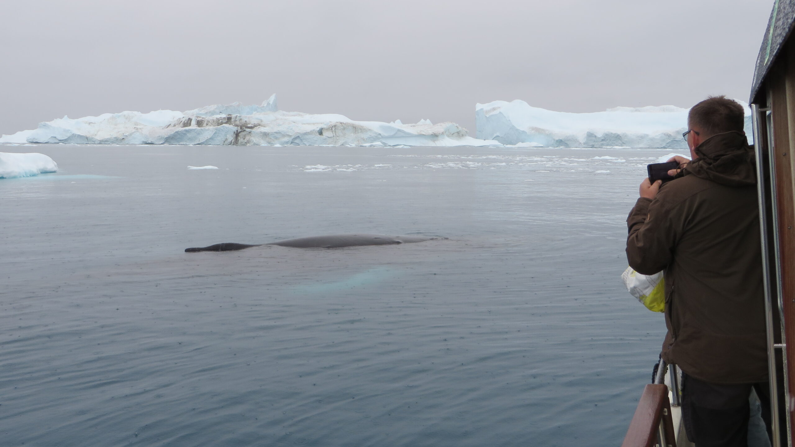 illulissat_10